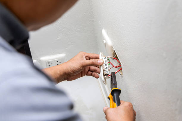 Best Electric Panel Repair  in Advance, MO